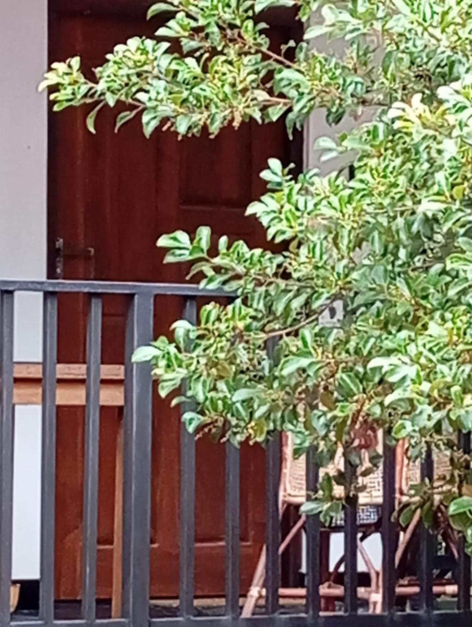 Ceylonima Home Stay Anuradhapura Ruang foto